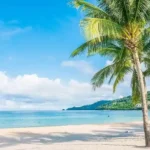 10 Destinasi Pantai Jogjakarta Terbaik yang Menyimpan Banyak Keindahan 23 kotajogjakartadotcom
